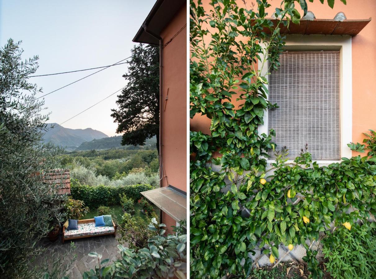 Casetta Di Butia, Gelsomino Apartment บอร์โก อา มอสซาโน ภายนอก รูปภาพ