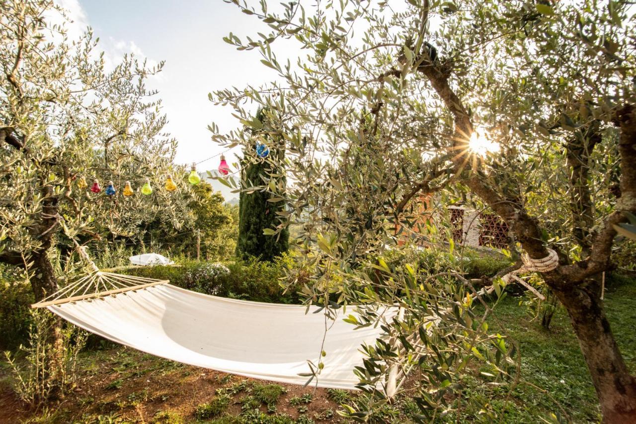 Casetta Di Butia, Gelsomino Apartment บอร์โก อา มอสซาโน ภายนอก รูปภาพ